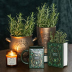 Garden Witch Bronze Effect Terracotta Plant Pot